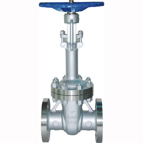 Cryogenic globe valve